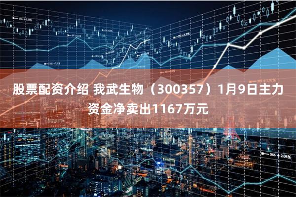股票配资介绍 我武生物（300357）1月9日主力资金净卖出1167万元