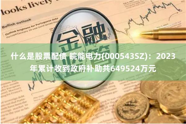 什么是股票配债 皖能电力(000543SZ)：2023年累计收到政府补助共649524万元