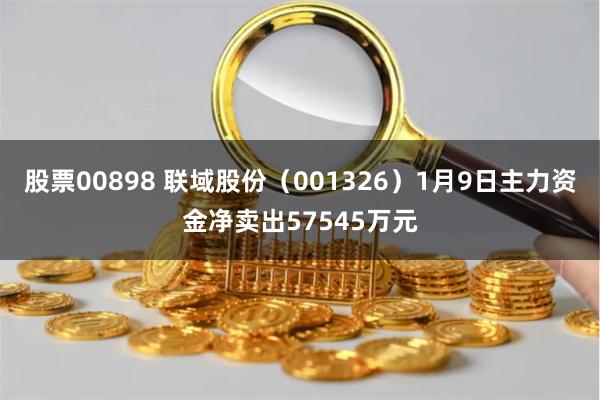 股票00898 联域股份（001326）1月9日主力资金净卖出57545万元