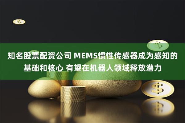 知名股票配资公司 MEMS惯性传感器成为感知的基础和核心 有望在机器人领域释放潜力