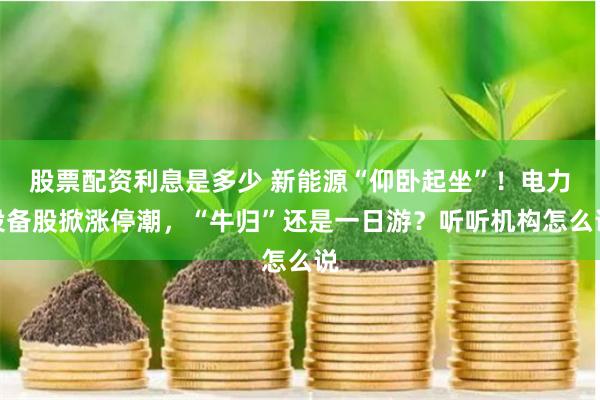 股票配资利息是多少 新能源“仰卧起坐”！电力设备股掀涨停潮，“牛归”还是一日游？听听机构怎么说