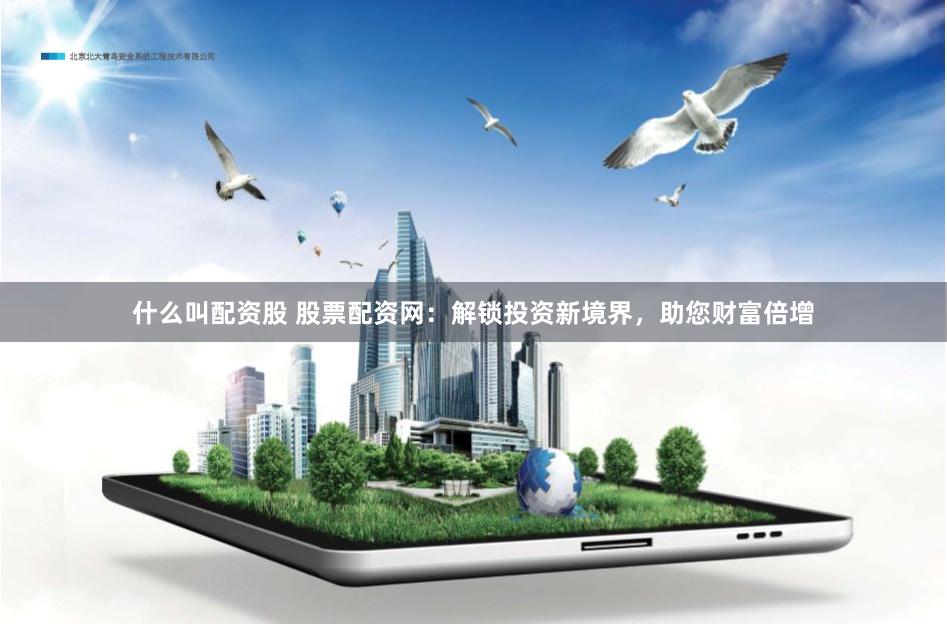 什么叫配资股 股票配资网：解锁投资新境界，助您财富倍增